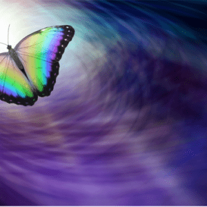 A butterfly flying in the sky with a purple background