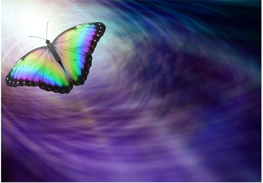 A butterfly flying in the sky with a purple background